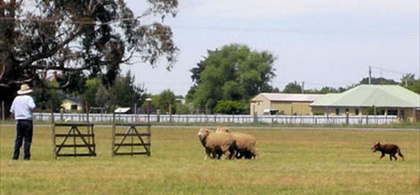 WKCNAT200939