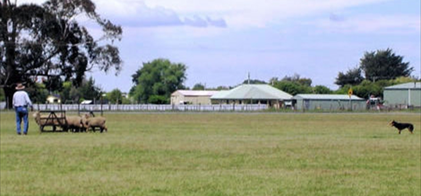 WKCNAT200941